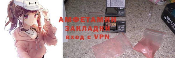 прущие грибы Бородино