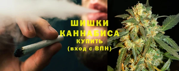 прущие грибы Бородино
