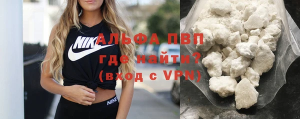 прущие грибы Бородино