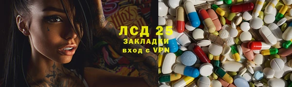 прущие грибы Бородино