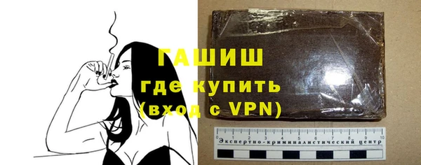 прущие грибы Бородино