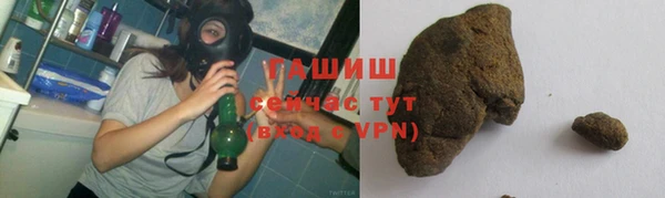 прущие грибы Бородино