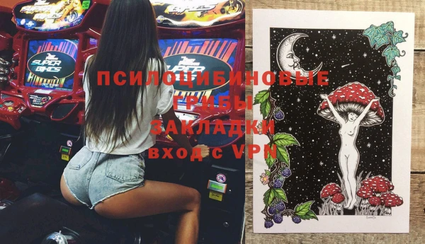 прущие грибы Бородино