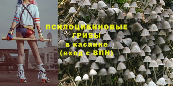 ALPHA-PVP Верея