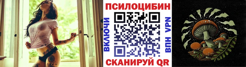 Галлюциногенные грибы Psilocybe  Северо-Курильск 